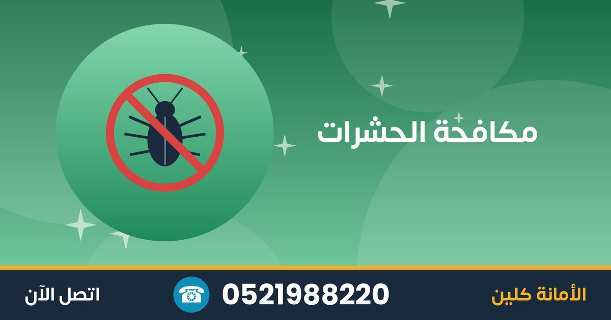 أشهر الحشرات المنزلية وكيف تحمي بيتك منها