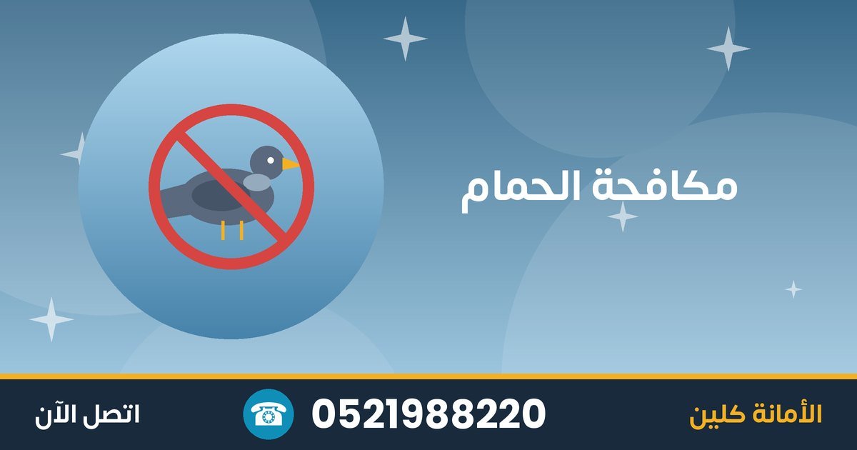 مشكلة الحمام: كيف تبعده عن شرفتك وسطحك؟